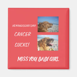 Imã Consciência Hemangiosarcoma - Tributo Pet Personal