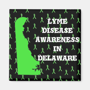 Imã Conscientização sobre a Doença de Lyme em Delaware