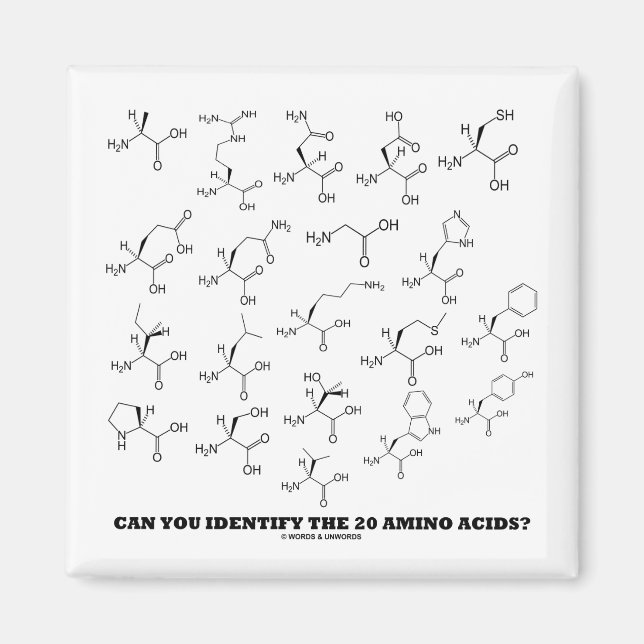Imã Consegue Identificar Os 20 Aminoácidos? Química (Frente)