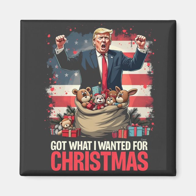 Imã Consegui o que eu queria no Natal Trump Papai Noel (Frente)