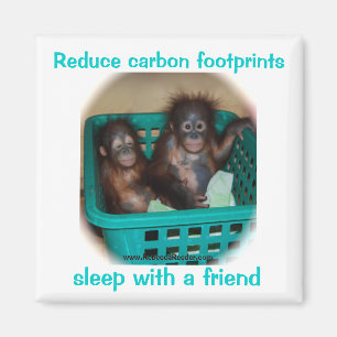 Imã Conselhos de Conservação Humorísticos