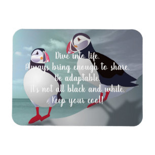 Ímã Conselhos de um Design Puffin Magnet
