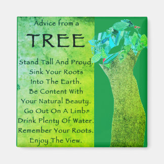 Imã Conselhos de um ímã de árvore