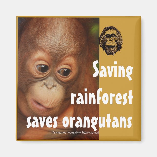 Imã Conservação (Frente)