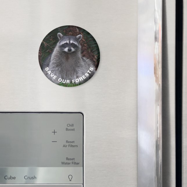 Imã Conservação da Floresta de Foto de Raccoon Wildlif (In Situ (Fridge))