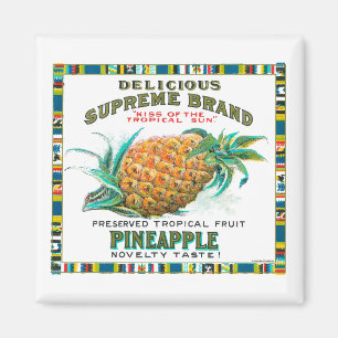 Imã Conservas de ananás supremo