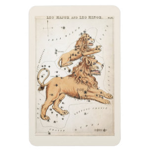 Ímã Constelação Celestial Leo