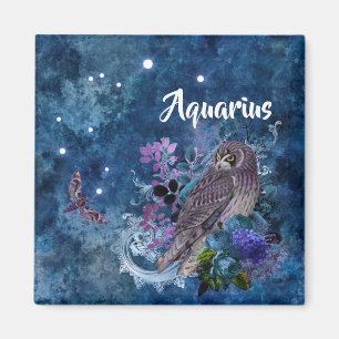 Imã Constelação de Boho Blue Zodiac Aquarius