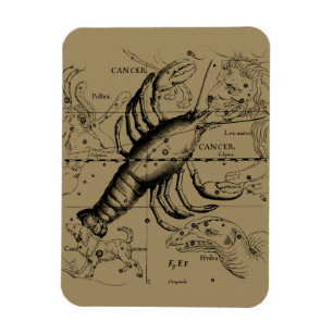 Ímã Constelação de cancer por Hevelius cerca de 1690