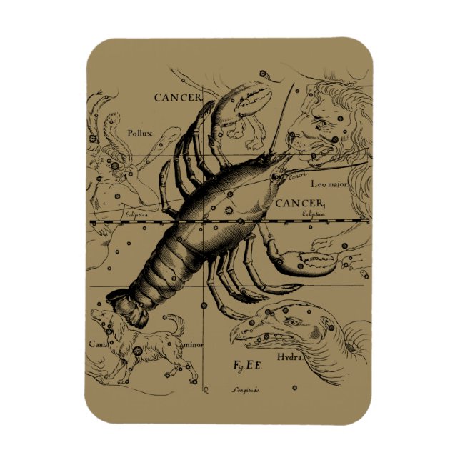Ímã Constelação de cancer por Hevelius cerca de 1690 (Vertical)