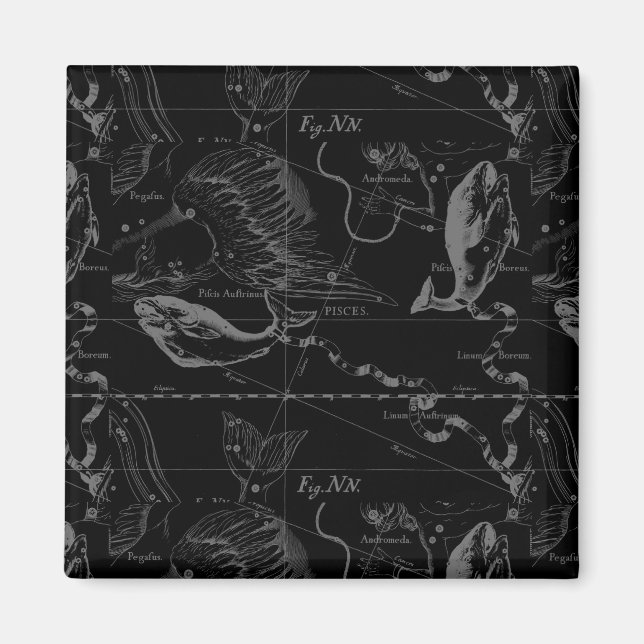 Imã Constelação de peixes Hevelius 1690 em preto (Frente)
