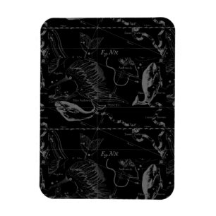 Ímã Constelação de peixes Hevelius 1690 em preto