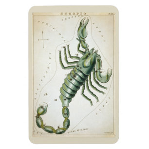 Ímã Constelação Scorpio