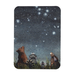 Ímã Constelações