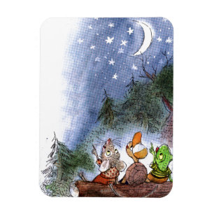 Ímã Contando as estrelas