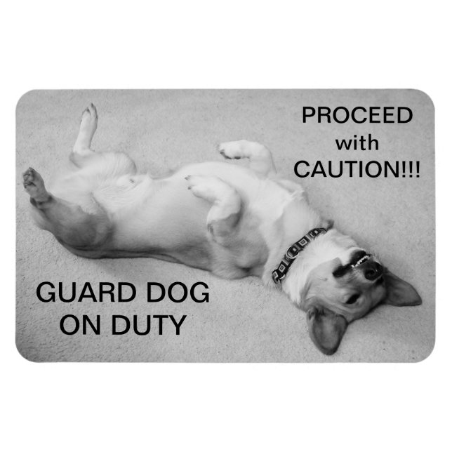 Ímã Continue com o Magnete de precaução (Horizontal)