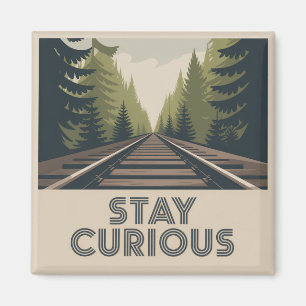 Imã Continue Curioso