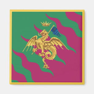 Imã Contrada del Drago (Dragão) Palio di Siena