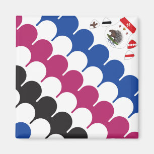 Imã Contrada Sovirana dell' Istrice (Porcupine) Palio