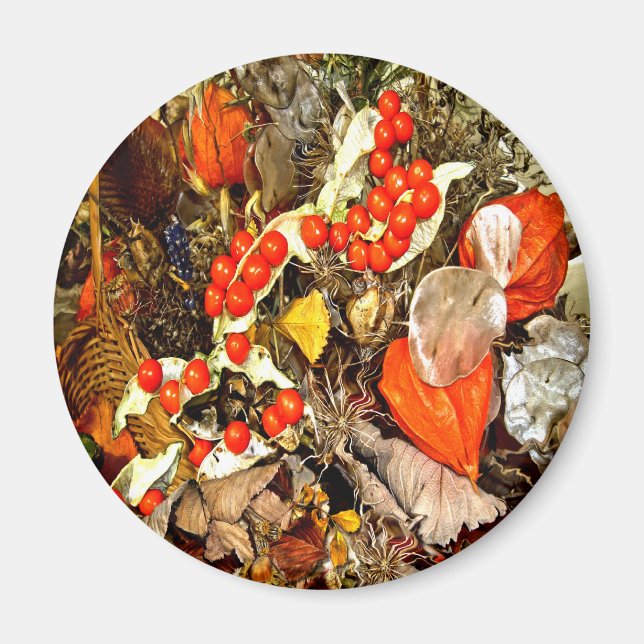 IMÃ CONVÊNIO DO OUTONO ~ IMAGEM (Frente)