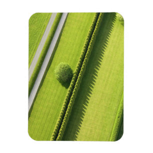 Ímã Conversão no Hamptons