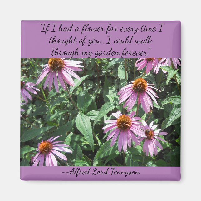 Imã Conversores Roxos Pensamentos de Seu Magneta Quadr (Frente)