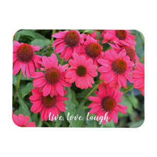 Ímã Conversores Roxos Vivos, Amor, Ria