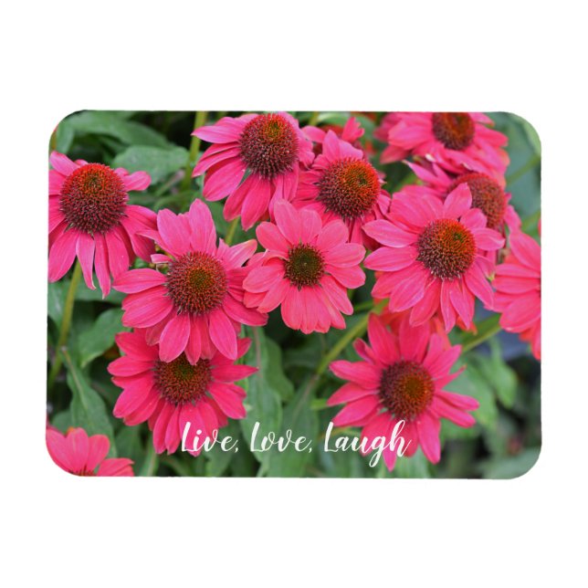 Ímã Conversores Roxos Vivos, Amor, Ria (Horizontal)