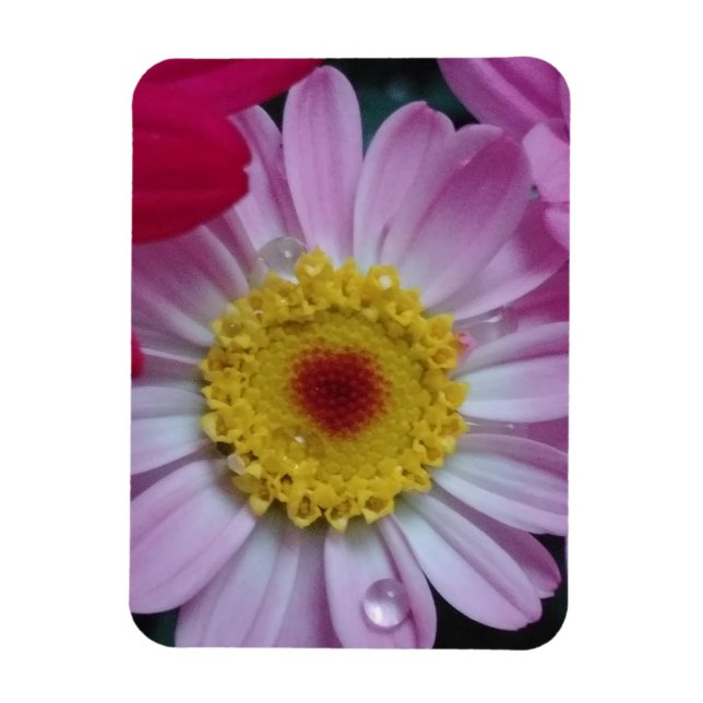 Ímã Convite (Vertical)