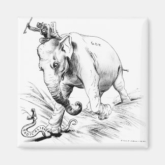 Imã Coolidge-Radicais