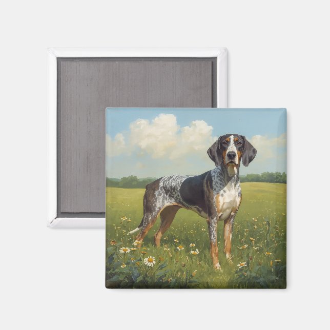 Imã Coonhound Bluetick (Front/Back)