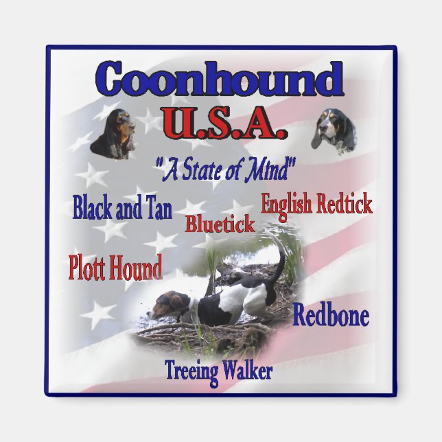 Imã Coonhound USA Gifts (Frente)