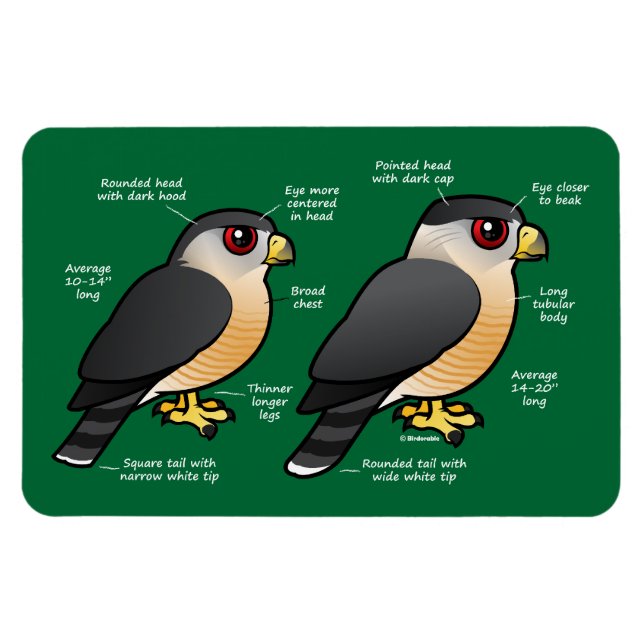 Ímã Coop v Sharpie (Horizontal)