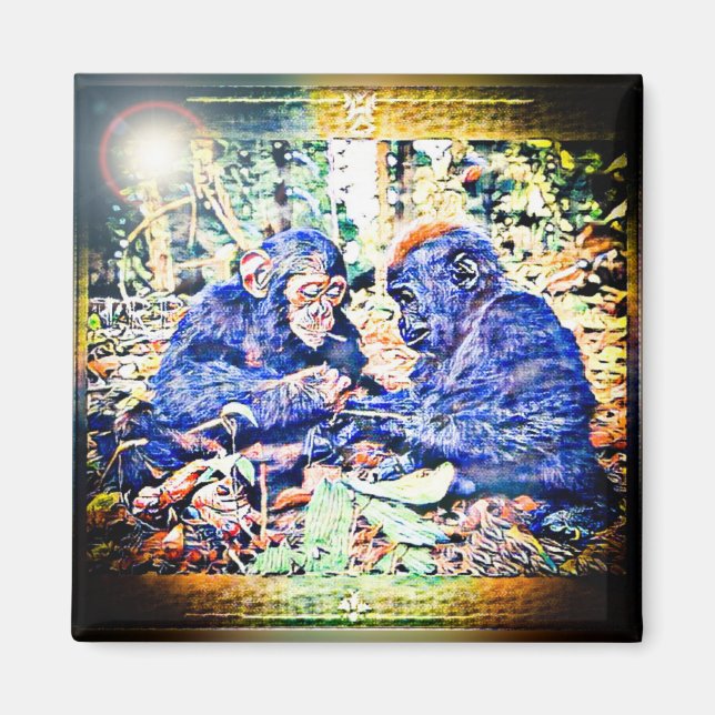 Imã Cooperação Chimp & Gorilla 01 (Frente)