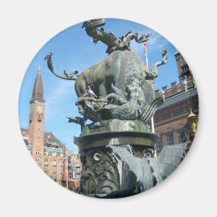 Imã Copenhaga, Dinamarca