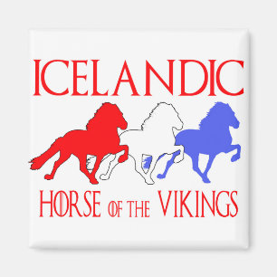 Imã cópia horseofthevikings2019