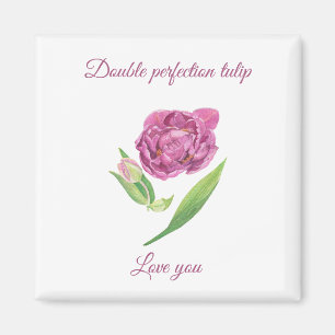 Imã Cor da água da tulipa lilac-magenta de dupla perfe