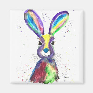 Imã Cor da água do leito arco-íris