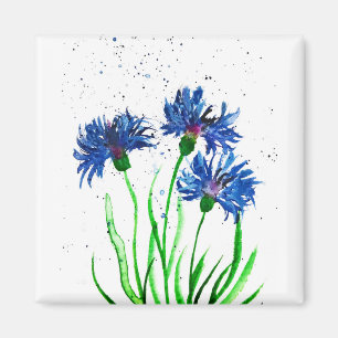 Imã Cor d'água do Cornflower