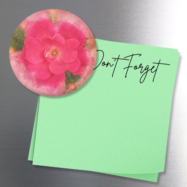Imã Cor d'água do Rosa de Nivelamento Rosa (This watercolor style pink knockout rose photo magnet adds a pretty touch to any magnetic surface!)