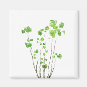 Imã Cor de água verde de plantas interiores