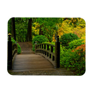 Ímã Cor de Outono, Jardim Japonês de Portland