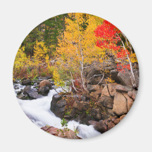 Imã Cor de queda ao longo de Bishop Creek, CA