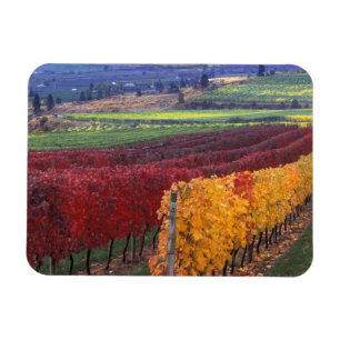 Ímã Cor de queda intensa de vermelho e amarelo em Gehr