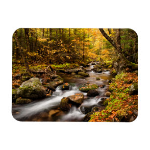 Ímã Cor de queda Jefferson Brook Montanhas brancas