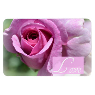 Ímã cor-de-rosa do verão