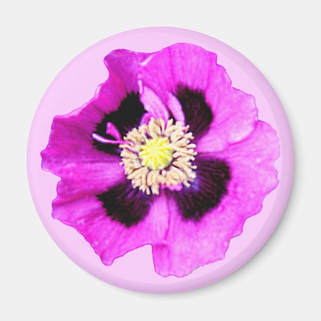 Imã Cor-de-rosa-imã de geladeira (Frente)