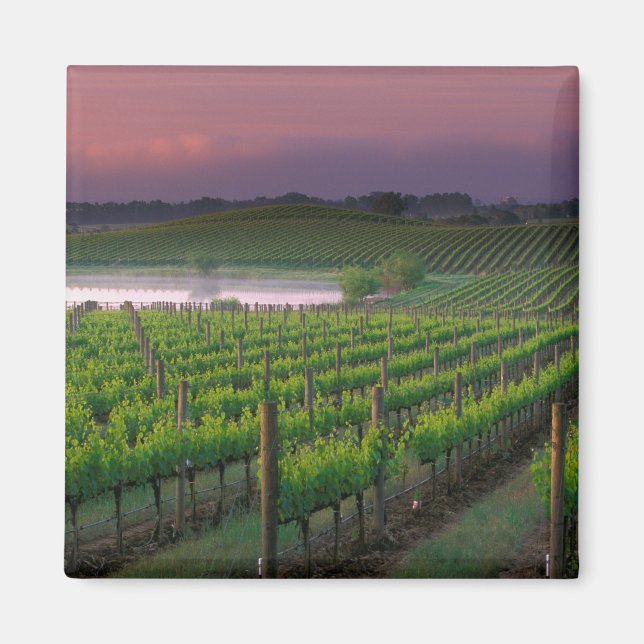 Imã Cor do nascer do sol no nevoeiro distante atrás (Frente)