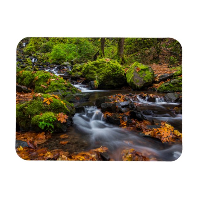 Ímã Cor do outono ao longo da Starvation Creek Falls (Horizontal)