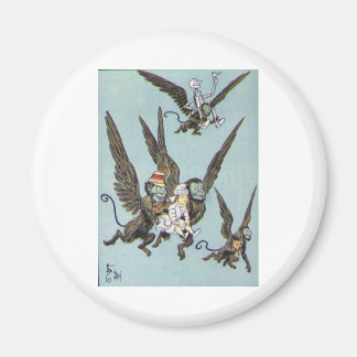 Imã Cor dos Macacos Voadores